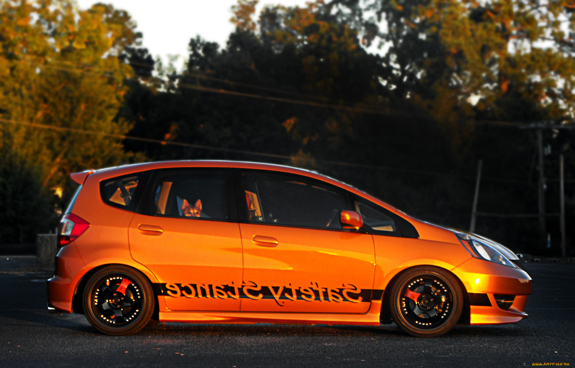 , honda, jazz